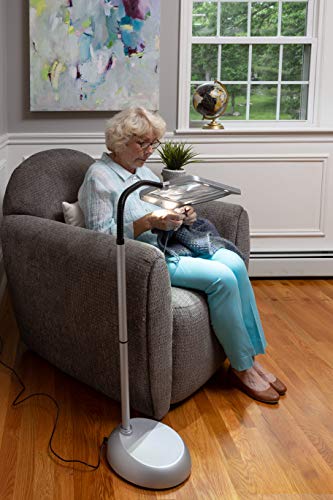 daylight24 402039-05 Full Page 8 x 10 Inch Magnifier LED Illuminated Floor Lamp, Silver