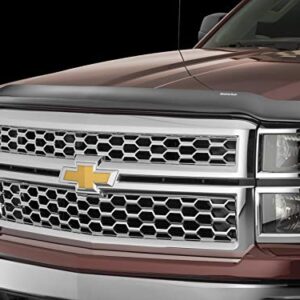 WeatherTech Custom Fit Stone & Bug Deflector for Chevrolet Silverado Crew Cab, Dark Smoke