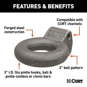 CURT 48660 Raw Steel Pintle Hitch Lunette Ring 3-Inch ID, 24,000 lbs, Channel Mount Required