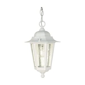 Nuvo 60/991 Hanging Lantern with Clear Seeded Glass, White