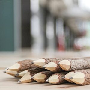 BSIRI Pencil Wood Favors of Graphite Wooden Tree Rustic Twig Pencils Unique Birch of 12 Camping Lumberjack Decorations Party Supplies Novelty Gifts as a Natural Pencil Gifts for Kids in Classroom