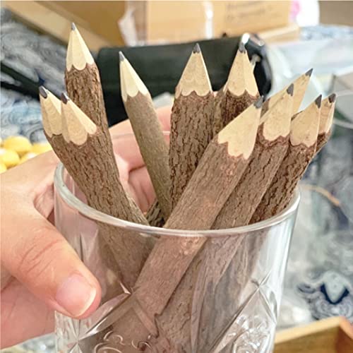 BSIRI Pencil Wood Favors of Graphite Wooden Tree Rustic Twig Pencils Unique Birch of 12 Camping Lumberjack Decorations Party Supplies Novelty Gifts as a Natural Pencil Gifts for Kids in Classroom