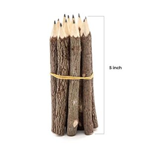 BSIRI Pencil Wood Favors of Graphite Wooden Tree Rustic Twig Pencils Unique Birch of 12 Camping Lumberjack Decorations Party Supplies Novelty Gifts as a Natural Pencil Gifts for Kids in Classroom