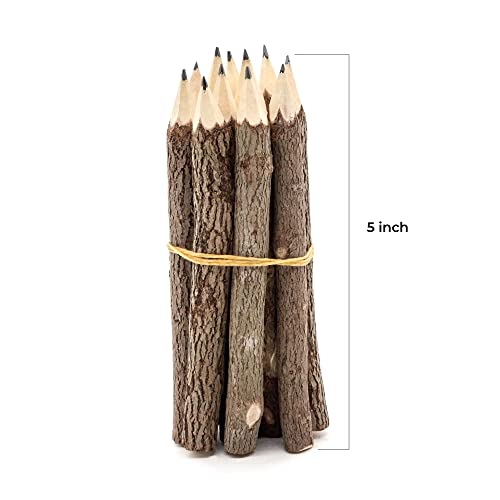 BSIRI Pencil Wood Favors of Graphite Wooden Tree Rustic Twig Pencils Unique Birch of 12 Camping Lumberjack Decorations Party Supplies Novelty Gifts as a Natural Pencil Gifts for Kids in Classroom