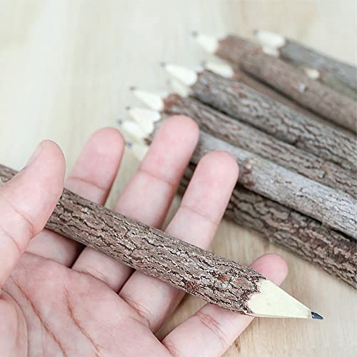 BSIRI Pencil Wood Favors of Graphite Wooden Tree Rustic Twig Pencils Unique Birch of 12 Camping Lumberjack Decorations Party Supplies Novelty Gifts as a Natural Pencil Gifts for Kids in Classroom