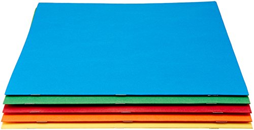 Amazon Basics Twin Pocket File Folders with Fasteners, 25-Pack (Assorted)