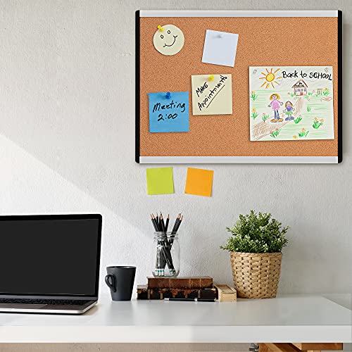 Amazon Basics Cork Board with Aluminum/Plastic Frame and Mounting Tabs, 17 x 23 Inches