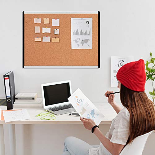 Amazon Basics Cork Board with Aluminum/Plastic Frame and Mounting Tabs, 17 x 23 Inches