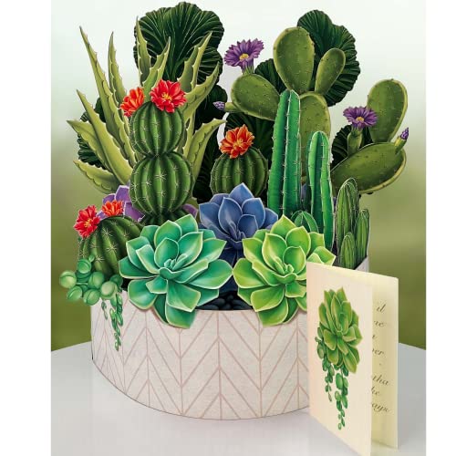 Freshcut Paper Pop Up Cards, Cactus Garden, 12 inch Life Sized Forever Flower Bouquet 3D Popup Greeting Cards with Blank Note Card and Envelope