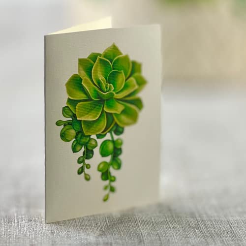 Freshcut Paper Pop Up Cards, Cactus Garden, 12 inch Life Sized Forever Flower Bouquet 3D Popup Greeting Cards with Blank Note Card and Envelope