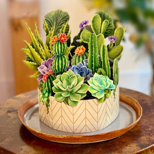 Freshcut Paper Pop Up Cards, Cactus Garden, 12 inch Life Sized Forever Flower Bouquet 3D Popup Greeting Cards with Blank Note Card and Envelope