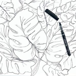 PILOT Precise V5 Stick Liquid Ink Rolling Ball Stick Pens, Extra Fine Point (0.5mm) Black Ink, 12-Pack (35334)