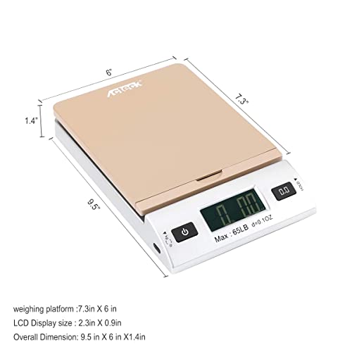 Acteck A-CK65GS 65LBx0.1OZ Digital Shipping Postal Scale with Batteries and AC Adapter, Gold Silver