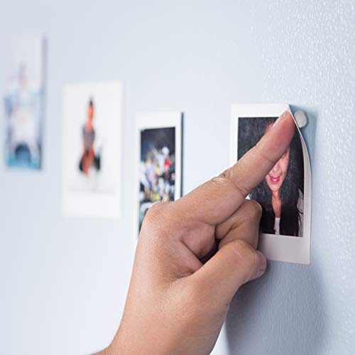 Sticky Tack - Samströng Gecko Foot Adhesive Putty - The Perfect Wall Putty for Hanging Things Around The House