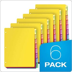 Oxford Plastic Binder Dividers, 8 Tab, Insertable Multicolor Tabs, Letter Size, 6 Sets (89601)