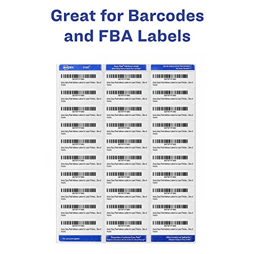 Avery Mailing Address Labels, Laser Printers, 3,450 Labels, 1 x 2-5/8, Permanent Adhesive, FBA Labels (5160)