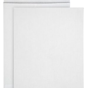 100 9 X 12 Self Seal Security Catalog Envelopes - Designed for Secure Mailing - Securely Holds up to 60 Sheets of Paper with Strong Peel and Seal Flap (100 Envelopes)