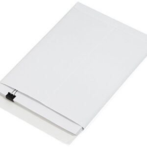 100 9 X 12 Self Seal Security Catalog Envelopes - Designed for Secure Mailing - Securely Holds up to 60 Sheets of Paper with Strong Peel and Seal Flap (100 Envelopes)