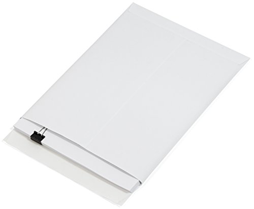 100 9 X 12 Self Seal Security Catalog Envelopes - Designed for Secure Mailing - Securely Holds up to 60 Sheets of Paper with Strong Peel and Seal Flap (100 Envelopes)