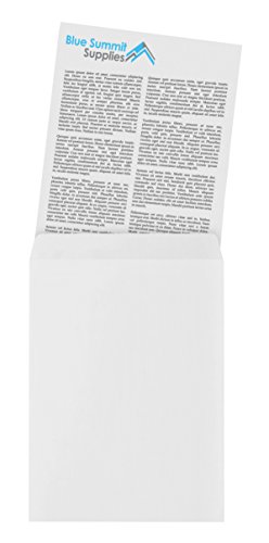 100 9 X 12 Self Seal Security Catalog Envelopes - Designed for Secure Mailing - Securely Holds up to 60 Sheets of Paper with Strong Peel and Seal Flap (100 Envelopes)