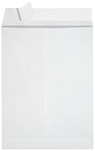 100 9 X 12 Self Seal Security Catalog Envelopes - Designed for Secure Mailing - Securely Holds up to 60 Sheets of Paper with Strong Peel and Seal Flap (100 Envelopes)