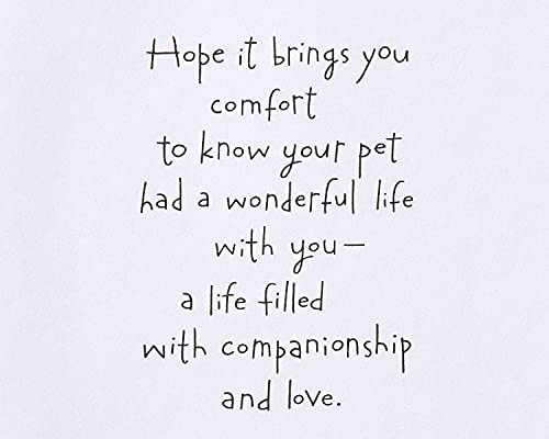 American Greetings Pet Sympathy Card (Our Animals Are Our Family)