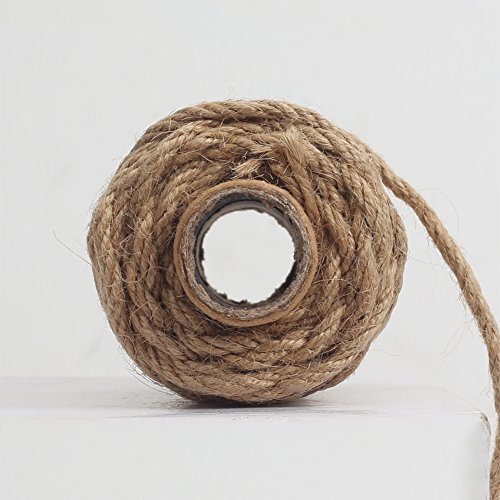 Tenn Well Strong Natural Jute Twine, 4mm Thick 66 Feet Long Jute String Rope Roll for Garden, Arts & Crafts, Home Decor, Packaging