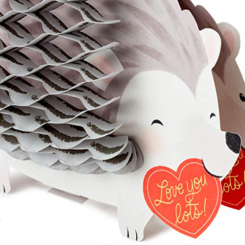 Hallmark Paper Wonder Pop Up Valentines Day Card (Honeycomb Hedgehog)
