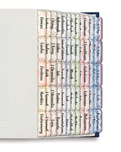 bible tabs, old and new testament, by better office products, 75 laminated bible index tabs (66 book names + 9 blanks), christian bible journaling adhesive tabs (harmonious themed backgrounds)