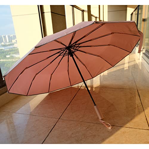 BAODINI Umbrella for Rain Windproof Travel Compact Automatic Folding Umbrella for Men-Women's Big Umbrella for Car Backpack