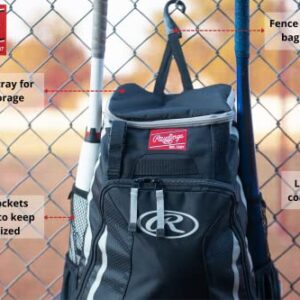 Rawlings R500 Series Baseball/Softball Backpack, Scarlet, 17.5˝ H x 15.5˝ W x 8.5˝ D