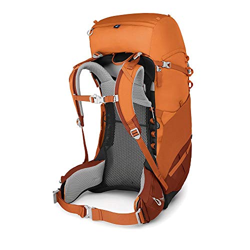 Osprey Ace 50 Kid's Backpacking Backpack , Orange Sunset