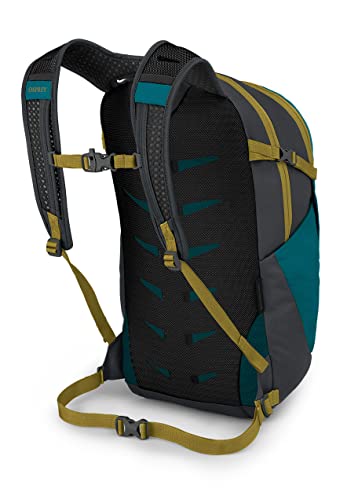 Osprey Daylite Plus Daypack, Deep Peyto Green/Tunnel Vision, One Size