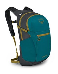 osprey daylite plus daypack, deep peyto green/tunnel vision, one size