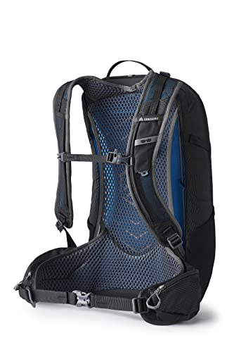 Gregory Mountain Products Citro 24 Hiking Backpack, Ozone Black, One Size