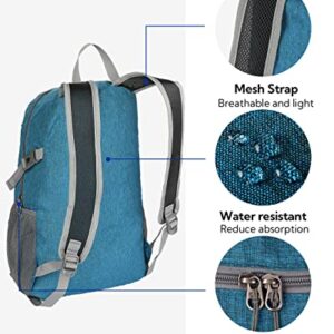 WATERFLY small lightweight packable backpack: 20l ultra-light foldable travel hiking daypack 29 liter fold hike camping day pack for man and woman