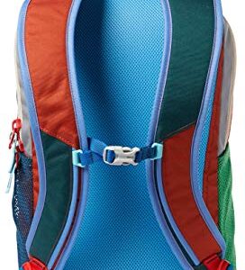 Cotopaxi Bogota 20L Backpack - Del Dia - One of A Kind!