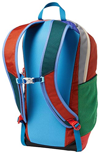 Cotopaxi Bogota 20L Backpack - Del Dia - One of A Kind!