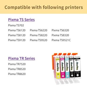 Mayway C a k E Ink Cartridges 280XXL 281XXL 280 281 XXL PGI CLI, Work with PIXMA TS8220 TR8520 TS6220 TS6120 TR7520 TS9120 TS8120 TS9521 TS9520 TS9521c TS6320 Printer (5 Pack, B/BK/C/M/Y)