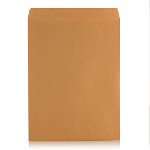 100 10 x 13 Self-Seal Brown Kraft Catalog Envelopes - 28lb, 100 Count, Ultra Strong Quick-Seal, 10x13 inch (39300)