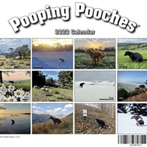 Pooping Pooches White Elephant Gag Gift Calendar