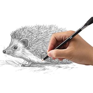 Mr. Pen- Eraser Pencil with Brush, 3 pcs, 2 Eraser Pencils with Brush and 1 Sharpener, Pencil Brush Eraser, Pencil Eraser with Brush, Eraser Pencils for Artists, Eraser Pencils for Drawing