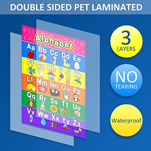 Educational Preschool Poster for Toddler and Kid with Glue Point Dot for Nursery Homeschool Kindergarten Classroom - Teach Numbers Alphabet Colors Days and More 16 x 11 Inch (12 Pieces, English Style)