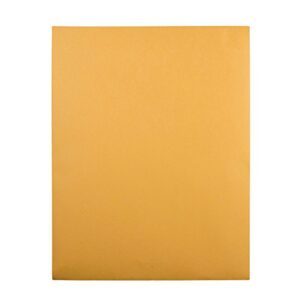 Quality Park 12 x 15-1/2 Clasp Envelopes, Clasp and Gummed Closures, for Oversized Papers, Drawings or Posters, 28 lb Kraft Paper, 100/Box (QUA37810)