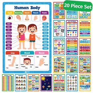 20 classroom educational posters for preschoolers toddlers kindergarten elementary – 16″ x 11″ – 20pcs – learning posters for toddlers wall preschool kindergarten kids posters classroom supplies decor