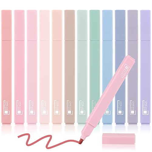 12 Pieces Aesthetic Highlighters Bible Highlighters and Pens No Bleed with Chisel Tip Pastel Markers Multicolor Aesthetic Pens Kawaii Stationary for Office School Supplies (Elegant Style)