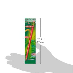 Ticonderoga Erasable Checking Pencils with Eraser, Pre-sharpened, Red, 12-Pack (14259)