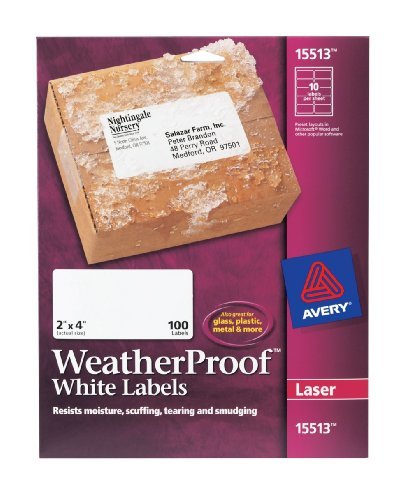 Avery Waterproof Shipping Labels with Sure Feed & TrueBlock 2" x 4", 100 White Laser Labels (15513)