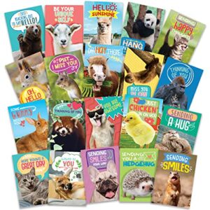 t marie 40 funny animal postcards – bulk thinking of you postcard pack for kids, students, friends, teacher and more – say hello, thank you or i miss you with cute note cards
