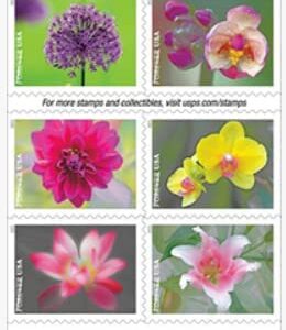 Garden Beauty Stamps with 20 Self-Seal Envelopes White #10